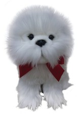 12" Maltese teddy MALTESES