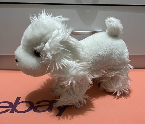 White fluffy messy maltese - fluffy,