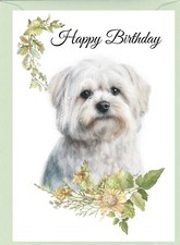 Maltese Dog (4"x 6") Birthday