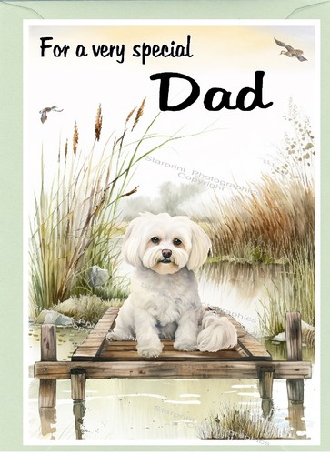 Maltese dog blank - maltese, card