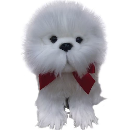 Faithful friends white maltese - friends,