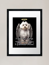 Angel dogs - Maltese Framed