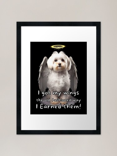 Angel dogs maltese framed - angel,