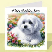Personalised Maltese Dog
