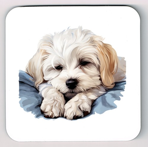 Sleeping laying down - sleeping,