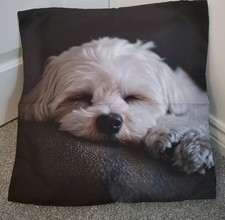 Maltese Dog Cushion Cover