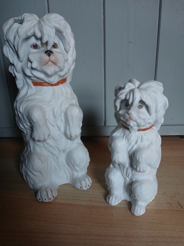 Pair antique maltese dogs - maltese,