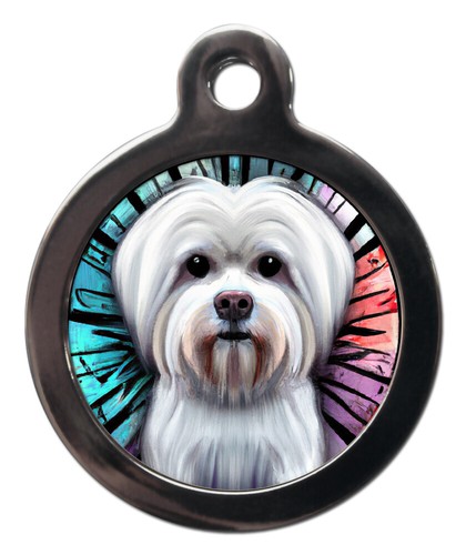 Pet tag maltese dog - tag,