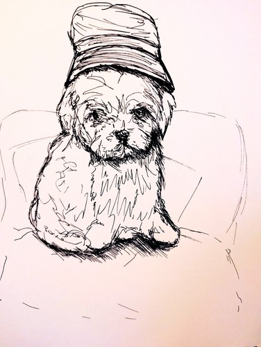 Maltese puppy bucket - maltese,