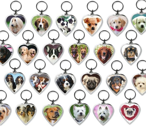 Dog keyrings heart shape - keyrings, pug