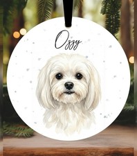 Maltese Terrier Dog Christmas