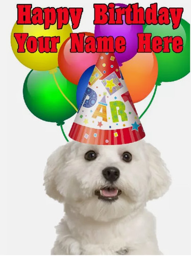 Maltese dog party card codemat - card,