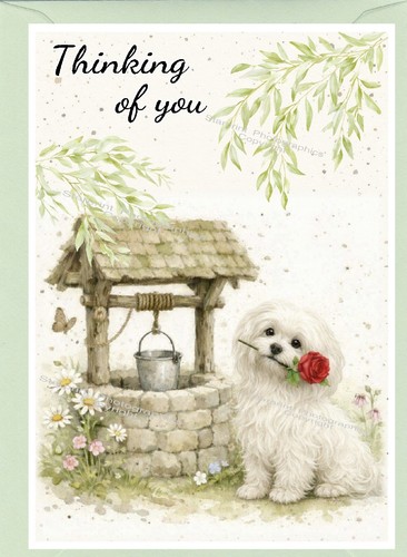 Maltese dog thinking - thinking, you