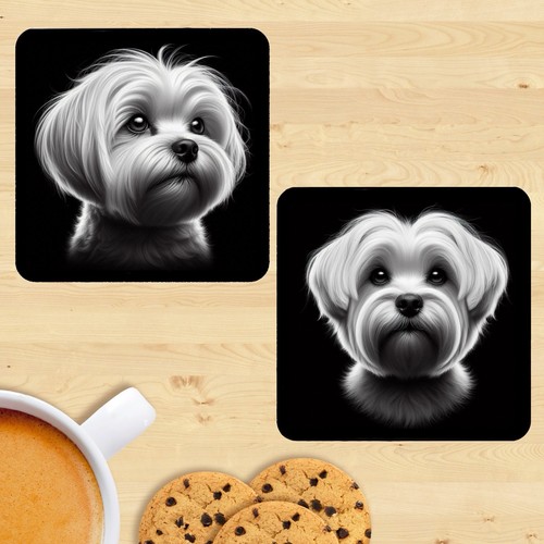 Maltese coasters set 2 - maltese, coasters,