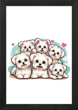 Cute Maltese Dogs Framed Wall