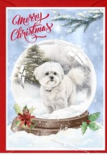 Maltese Dog A6 (4"x 6")