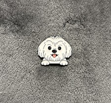 Maltese Dog Breed Pet Animal