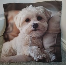 Maltese Dog Cushion Cover