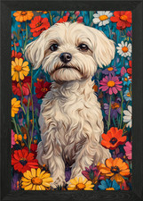 Maltese in Wildflower Meadow |