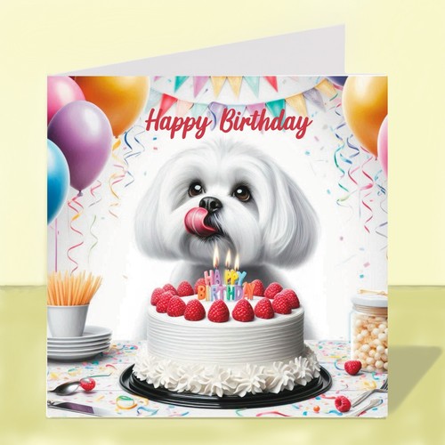 Maltese dog birthday card - dog,