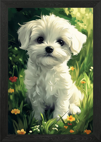 Maltese dog puppy flowers - puppy,