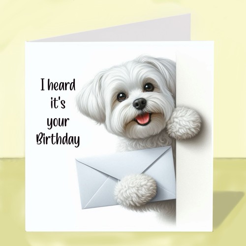 Maltese dog birthday - dog, greetings