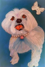 original painting - Maltese