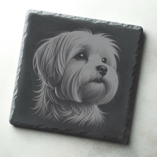 Maltese dog engraved - dog,