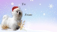 Maltese Dog Christmas Labels