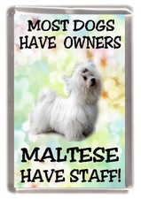 Maltese Dog Fridge Magnet